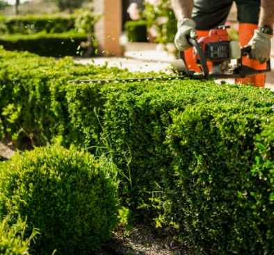 Hoveniersbedrijf Rijk Tuinen